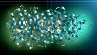 Exploring the World of Cryo-Electron Microscopy