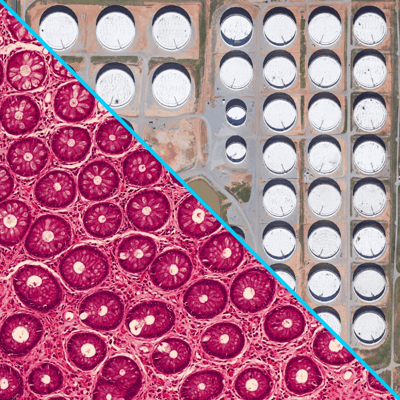 The similarities between satellite and micrograph imagery analysis.