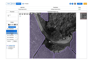 Unveiling the Types of Vegetables Through Satellite Images