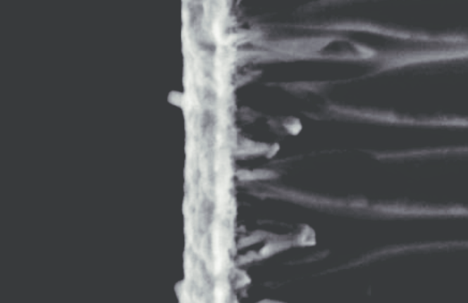 copper thin film