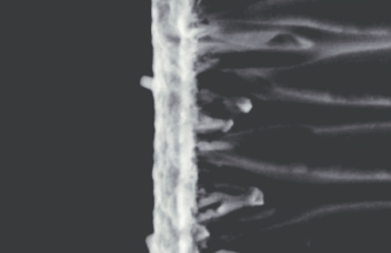 SEM image of copper thin film