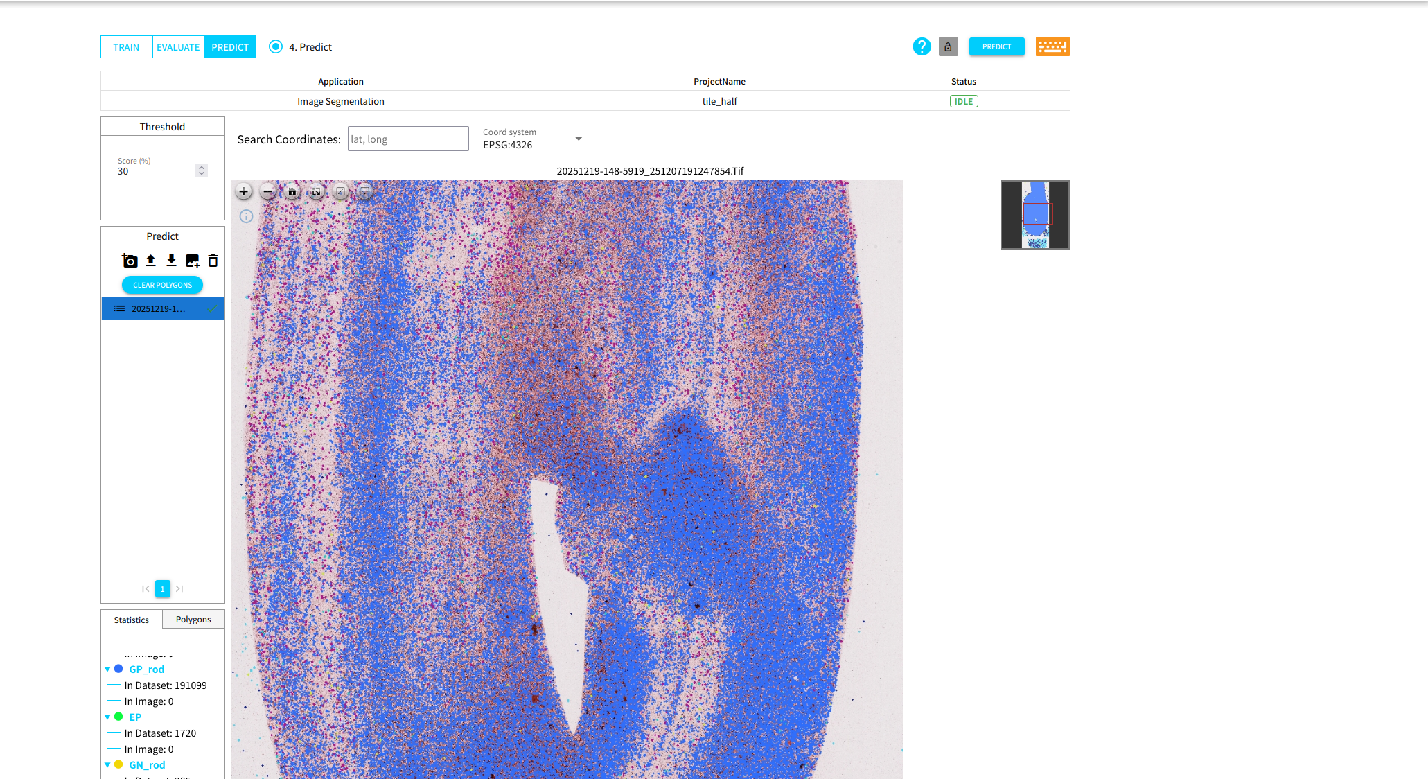Detection of Gram-Positive Rod Bacteria Across the Entire Slide