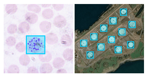 Object Detection in micrograph and remote sensing imagery-min