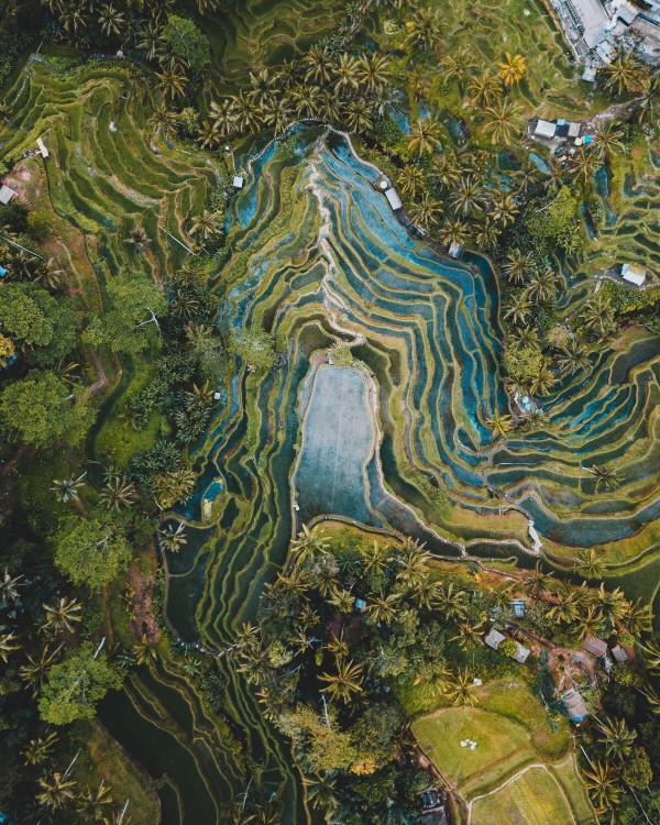 Satellite view of an agricultural region in South East Asia. Satellite view of an agricultural region in South East Asia.